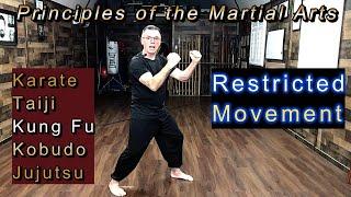 "Restricted Movement" Principles of the Martial Arts #4 Michael Calandra