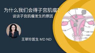 为什么我们会得子宫肌瘤 The causes of uterine fibroid