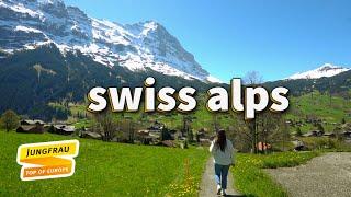 Swiss Alps Travel Guide 2024 