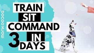 DOG TRAINING TIPS ! How to Train your Puppy / dog to Sit in JUST 3 DAYS || Monkoodog