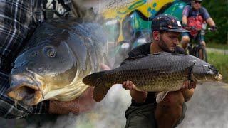 THE MONSTER CARP WE DREAMT OF!!! Big Belgium adventure..