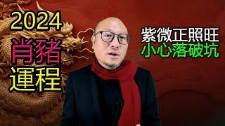 肖豬 | 2024生肖運程