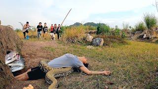 6 Brave Hunters With Pitbull Dog Confront Giant Python and Poison Snake To Save The Girl