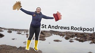 Explore St Andrews Beaches - with a marine biologist!