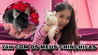 24 HORAS COM OS MEUS CHINCHILAS!!!