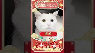 老尹给大家拜年啦～祝大家新年快乐