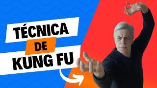 Técnica de Kung Fu: 3 Garras de Tigre