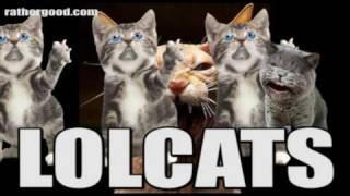 Lolcats song