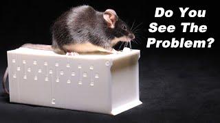 Can You Guess the Problem With This Humane Mouse Trap? Mousetrap Monday.