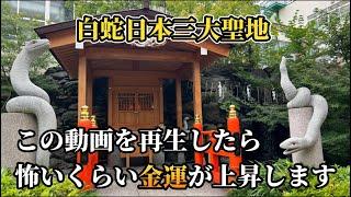 【蛇窪神社】お金持ちになりたい人は見逃し厳禁！※白蛇様と龍神様が貴方の金運を怖いくらい上昇させます