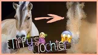  1. Mal die TOCHTER meines Ponys besuchen // Blondis auf Fjordis 