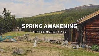 SPRING AWAKENING | #07 travel up north