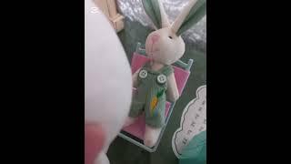 츠이카와는 감옥에 가 사형을 받았답니다~~~