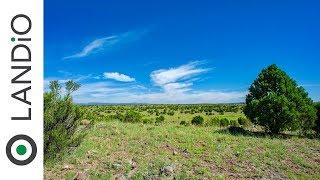 SOLD by LANDiO :  40 Acre Ranch in Arizona with Trees, Great Road Access & Amazing Views