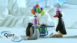 Pingu Tries to Fly!  | Pingu - Official Channel | Cartoons For Kids