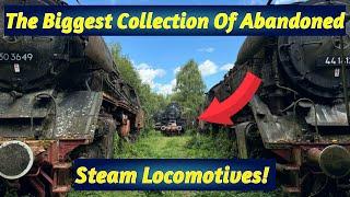 I Found The Biggest Abandoned Steam Locomotive Graveyard! Over 50 Steam Trains Lost Forgotten!