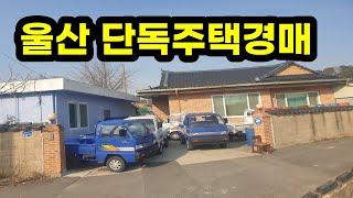 울산 단독주택 경매 청량읍 동천리 토지95평