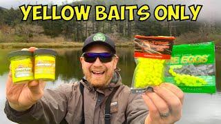 Yellow Bait ONLY Stocked Trout Fishing Challenge (Trout Opener!!)