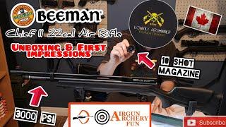 Beeman Chief II + 3000 PSI budget PCP air rifle // Unboxing & First impressions [AirgunArcheryFun]