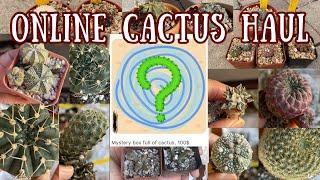 My BIGGEST online bargain #Cactus Haul! #PlantaSeca #planthaul