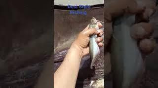 Desi Style Fishing... #shorts #youtubeshorts #viju shorts #fishing