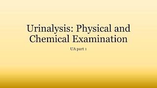 Urinalysis Basics: Physical and Chemical Examination of Urine