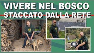 VADO A VIVERE NEL BOSCO #casa #offgrid