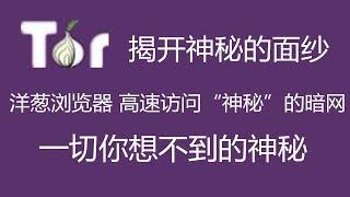 洋葱浏览器 高速访问“神秘”的暗网