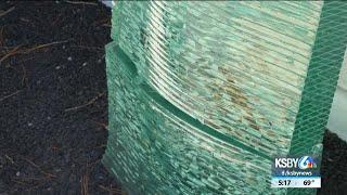 $40k glass sculpture vandalized at San Luis Obispo Museum of Art