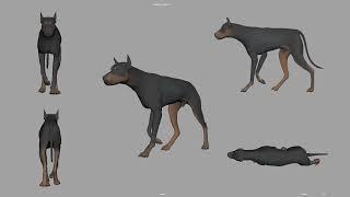 Dog Walk Cycle Animation