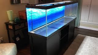 125 gallon aquarium setup! Tank transfer....