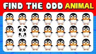 161 puzzles for GENIUS | Find the ODD One Out  Arctic Animals - Emoji Quiz | Quiz Lion