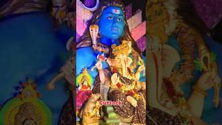 Cuttack Nuapada Ganesh Puja Bhasani #cuttack #viralvideo