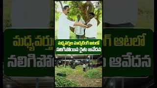 మధ్యవర్తుల మార్కెటింగ్ ఆటలో నలిగిపోయిన రైతు ఆవేదన #mango #mangofarming #farmer #fruit
