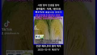 배추에는 항암효능 14종 함유, 농진청연구자료에서 #포스푸드케어 #특우TV #특우농원