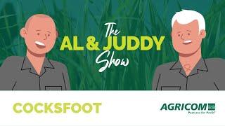 Dactylis - a dinosaur or a modern grass species? | The Al & Juddy Show | Agriculture Podcast Agricom