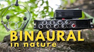 DPA 4560 Binaural In-Ear Microphones in NATURE!