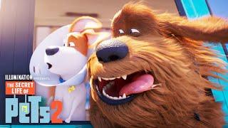 The Secret Life of Pets 2 | Max and Duke Go on a Road Trip!