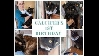 Calcifer's Very Extra 1st Birthday Montage