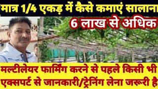 How Can Earn Small Farmer Up To 6 Lakh with in 1/4 acar from Multilayer Farming | Desi Kheti Jugad |