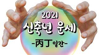 2021신축년 - 병,정 일간 운세