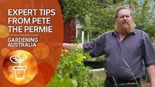 Expert tips on sustainable orchard growing from 'Pete the Permie'