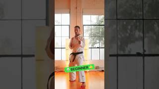Karate Skill Levels: Beginner vs Pro vs Magic  #karatevibes #shorts #viralshorts  #notouchknockout