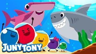 Marshmallows and the Sharks | Marshmallow Song for Kids | Let's Find Mimi's Ribbon! | JunyTony