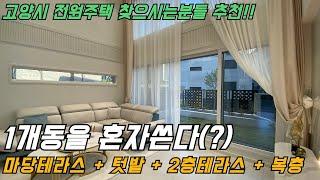 고양시 타운하우스(?)같은 다세대주택! 마당정원에 테라스까지... 신기한구조