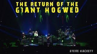 Steve Hackett - The Return of The Giant Hogweed (Live at The Royal Albert Hall)