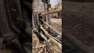 Tasty and fresh juice sugar cane #villagefood #shorts