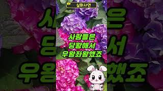 평소 말없던 할머니가 상상도 못한 일이...#인생사연 #노년사연 #노후지혜 #시어머니
