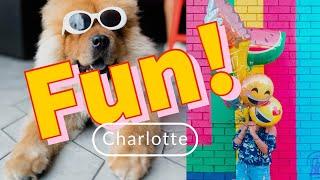 FANTASTIC FUN Things You Can Do Around The Charlotte Metro Area