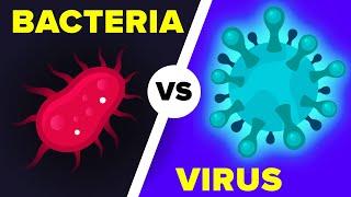 Virus vs Bacteria, What's Actually the Difference?